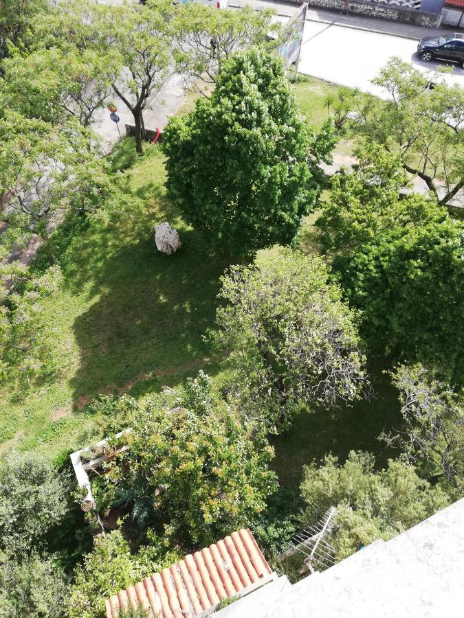 Apartman Vinika Zadar Exterior foto
